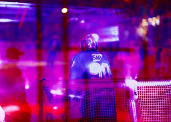 Adler Mannheim überflügeln die Straubing Tigers mit 4:1